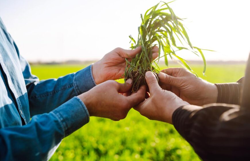 WhatsApp Image 2026-02-27 at 4.40.47 PM